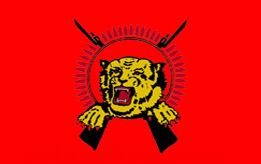 LTTE Flag